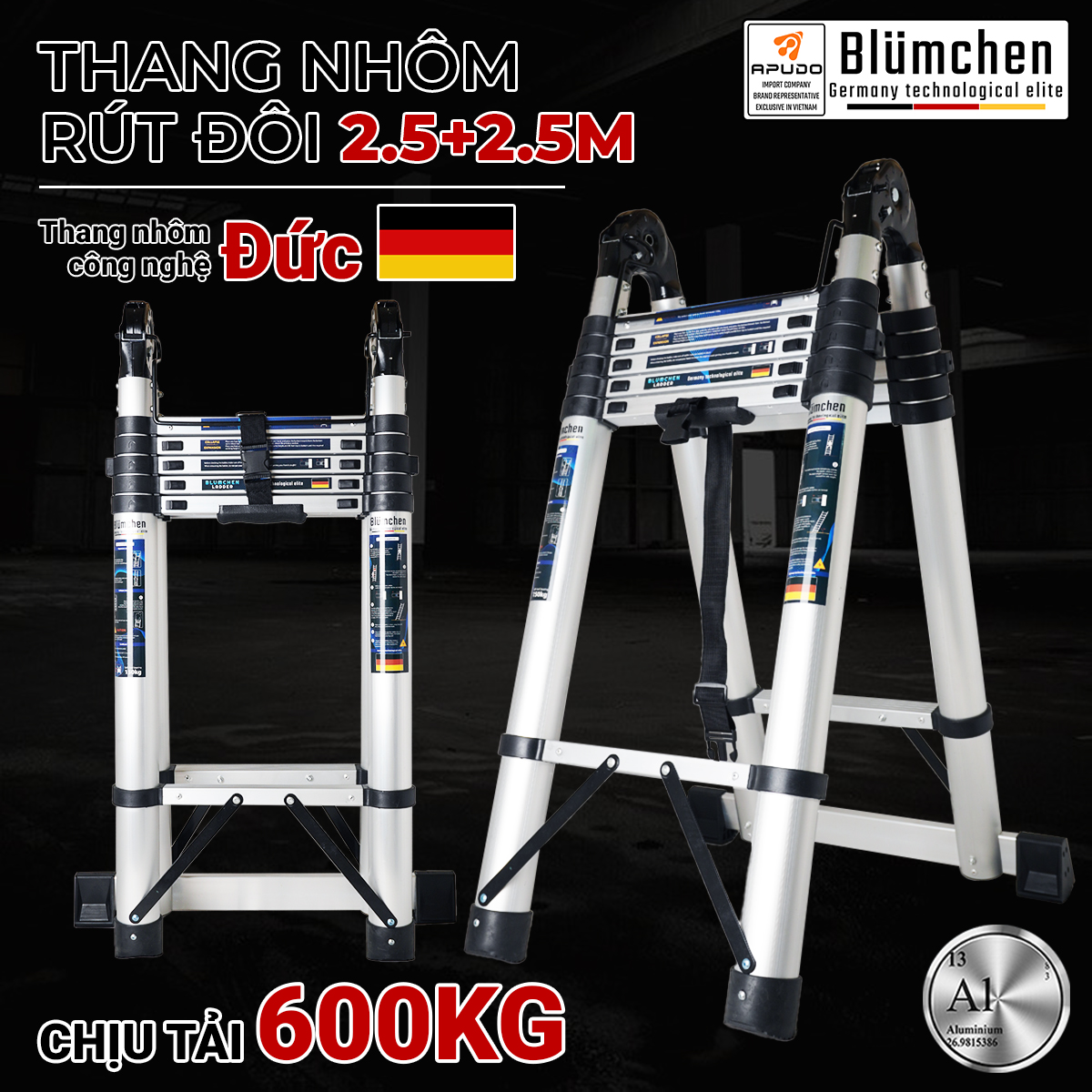 Thang nhôm rút đôi 2.5+2.5m tiêu chuẩn